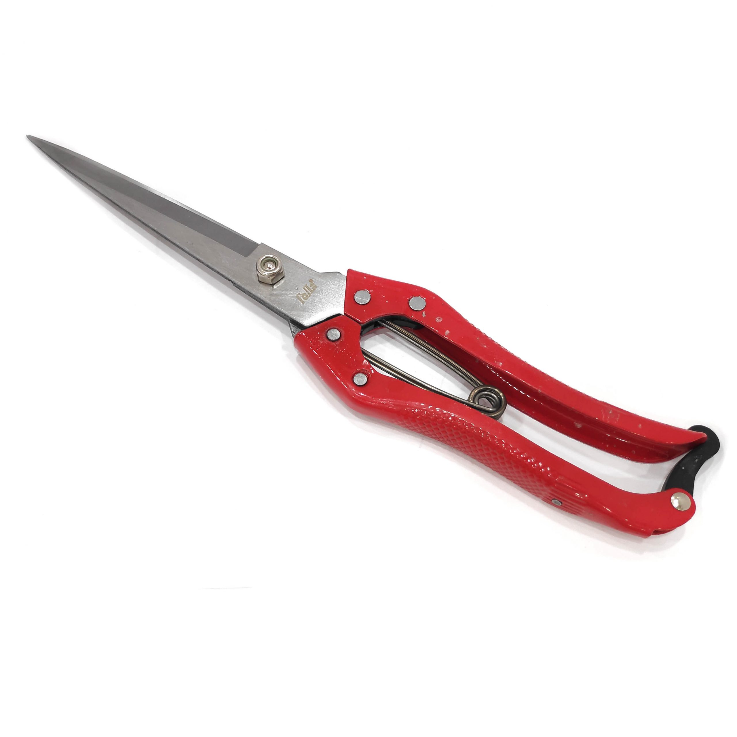 Ножницы для стрижки овец  Китайский 1x100 |+